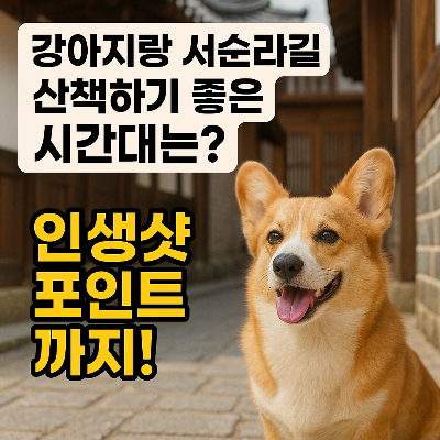 강아지랑 서순라길 산책, 이 시간에 가면 인생샷 각!