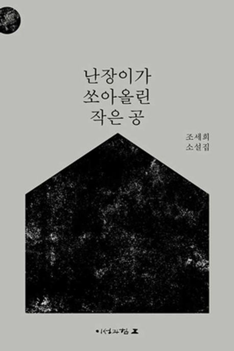 난장이가 쏘아올린 작은 공