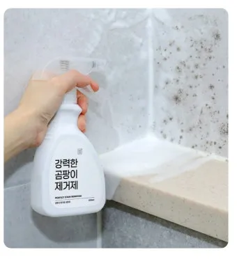 곰팡이 제거 락스 과탄산소다 환기 습기 원인 총정리_6