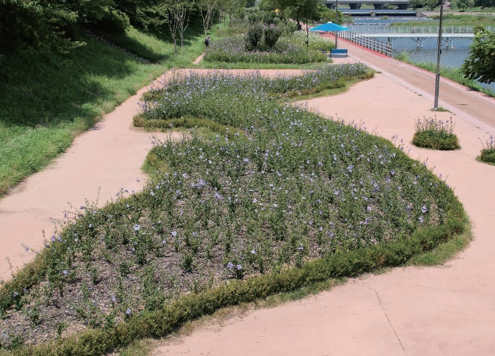 나라꽃 무궁화 대축제