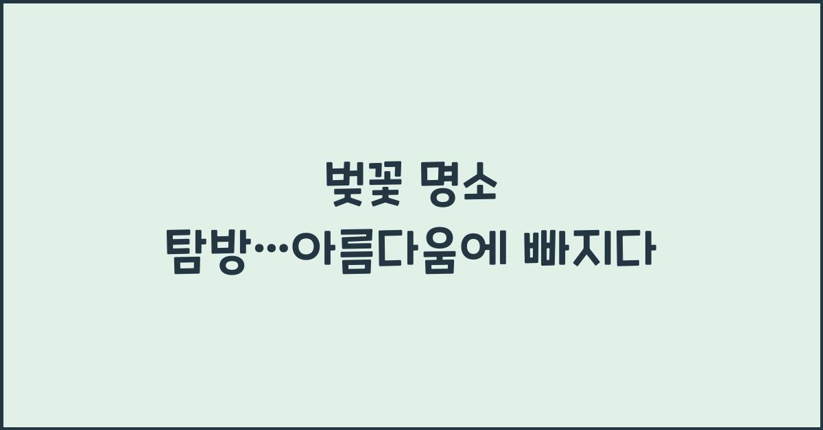 벚꽃 명소