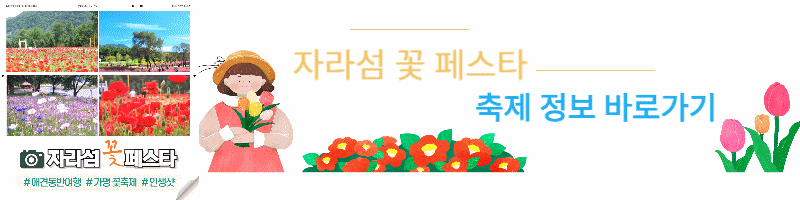 자라섬 꽃 페스타 축제