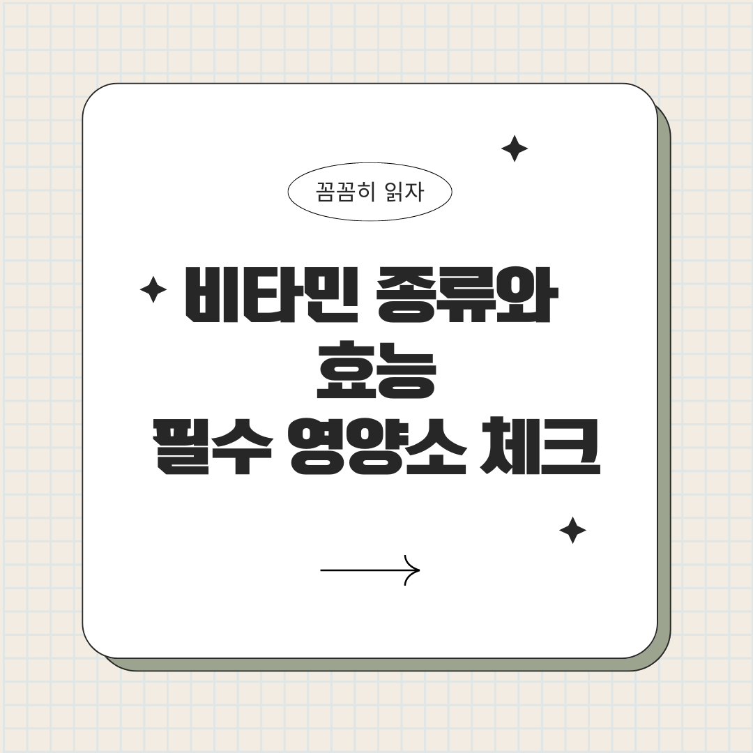 비타민 종류와 효능