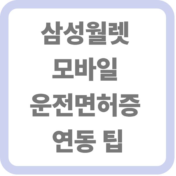 삼성월렛 모바일 운전면허증 연동 팁 대표 썸네일 이미지