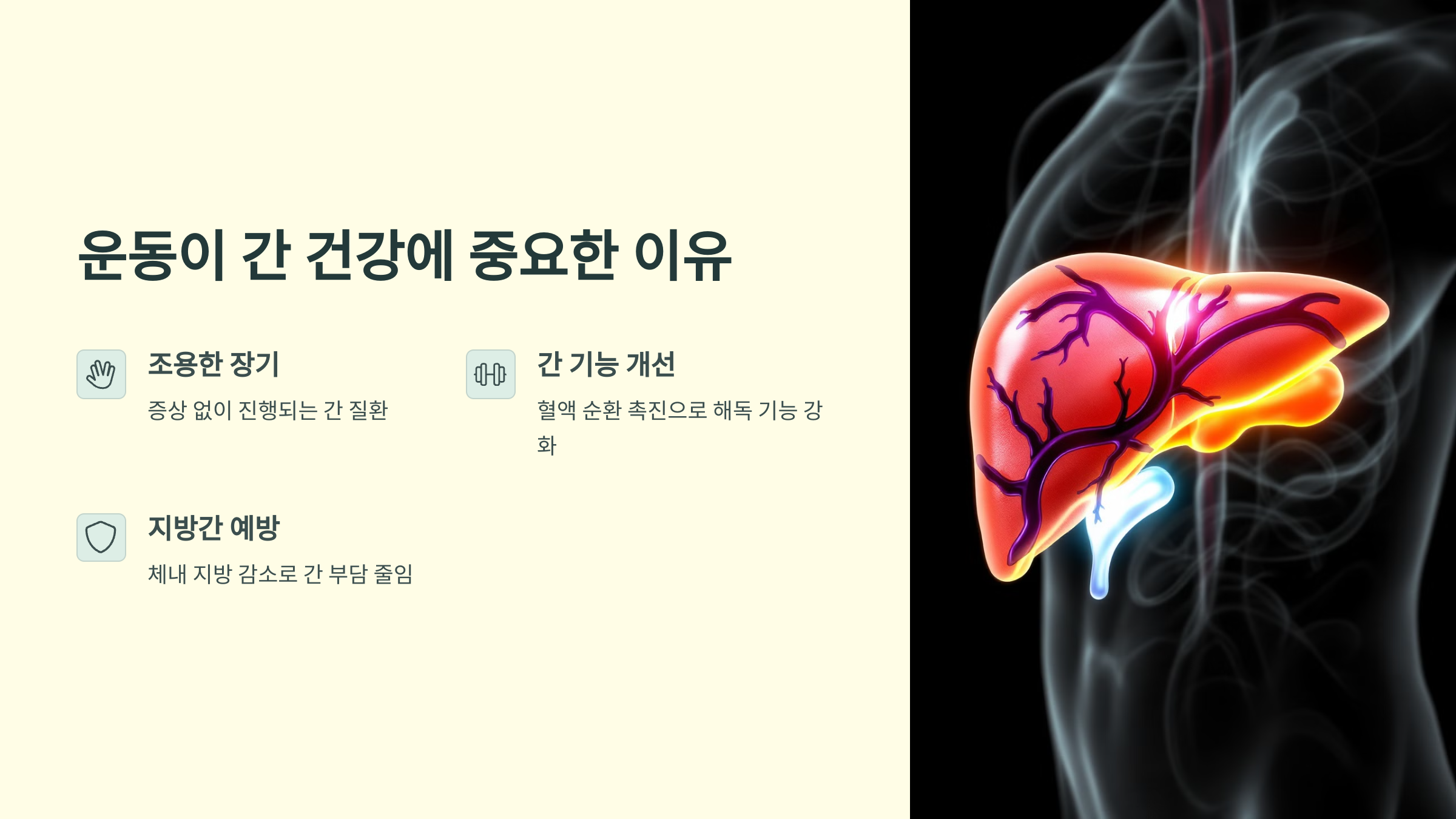 운동이 간 건강에 중요한 이유