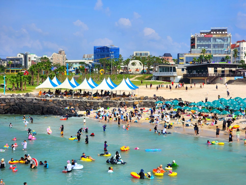 국내 해수욕장 개장일