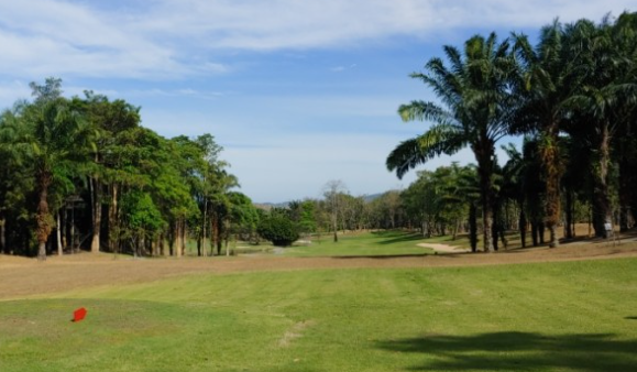 골프보험 홀인원보험