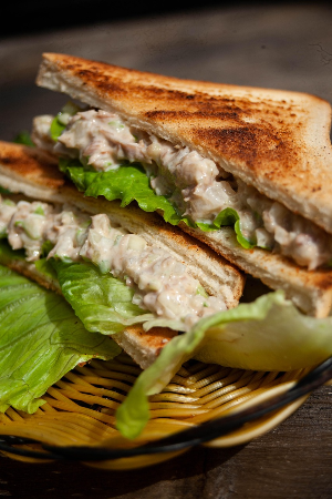 브런치 토스트기, 아무거나 사면 후회합니다! 빵이 맛있어지는 선택 기준 7가지