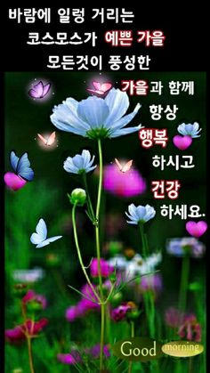 가을이미지