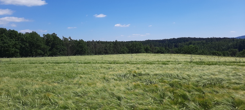 react hooks useEffect with jsx