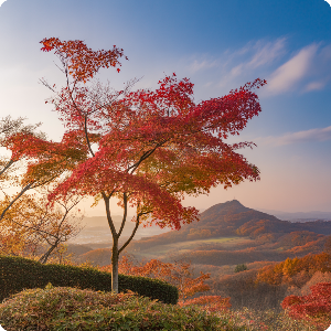 2025년 단풍 절정 시기 - 부산&middot;제주권 단풍 명소 가상 이미지