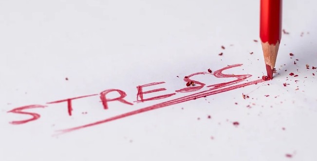 [건강기능식품의 원료] 긴장완화, 긴장 및 스트레스 원인, 스트레스 해소의 중요성