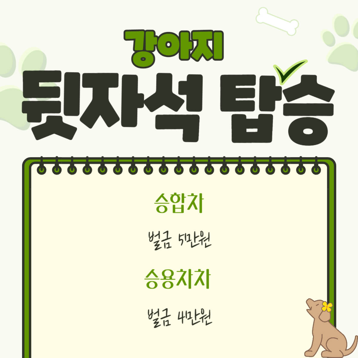 강아지 반려견 동물보호법 벌금 및 과태료 총 정리