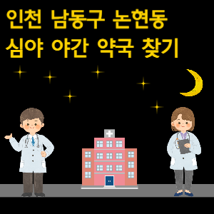 인천 남동구 논현동 심야 야간 약국 찾기
