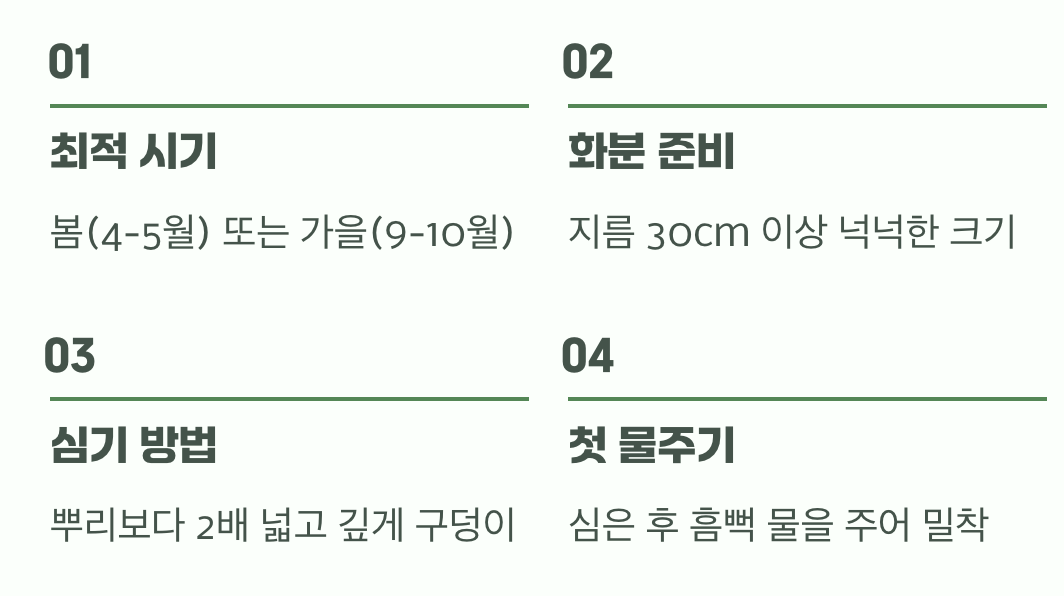 성공적인 첫걸음&amp;#44; 옮겨 심기