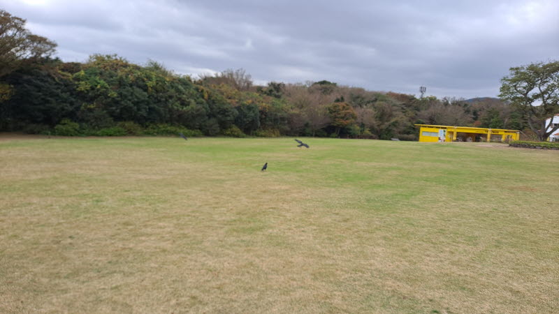 제주여행_에코랜드