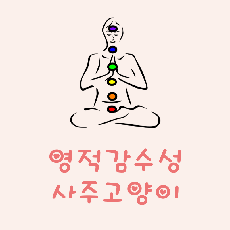 영적 감수성이란