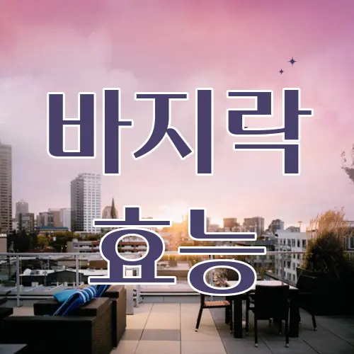 바지락 효능