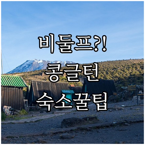 영국 비둘프 콩글턴 스토크 온 트렌트..