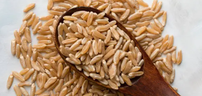 카무트 효소 효능