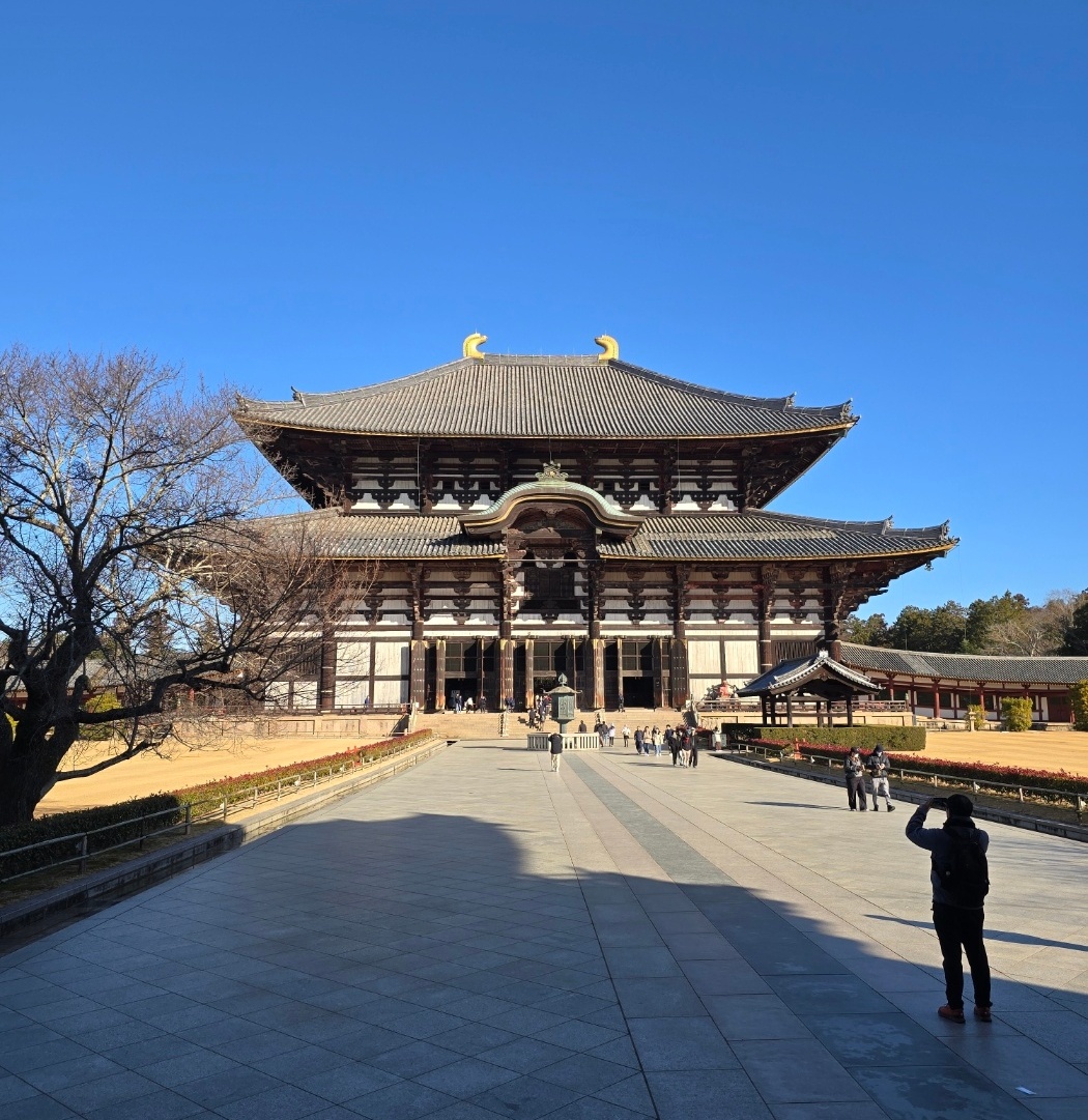 동대사와 동대사 내 불상 모습 이미지