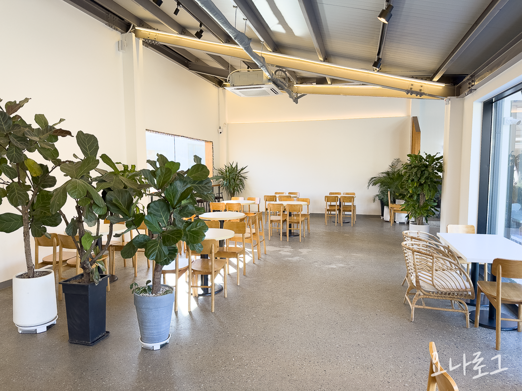 도넛맛집 도넛드로잉 드로잉도넛 판교도넛 미금도넛 분당도넛 판교카페 판교카페추천 미금카페 미금카페추천 분당카페 분당카페추천 분당브런치 판교브런치 브런치카페추천 초코도넛 피넛도넛 라즈베리도넛 우유생크림도넛