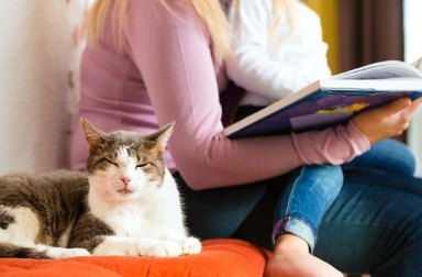 여자 옆에 있는 고양이.