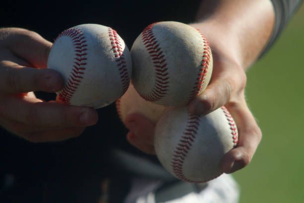 2025 LG 트윈스 연간회원 가격, 일정, 달라진 혜택