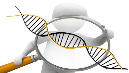 친자확인 유전자검사 비용 / 기관 / 기간 / 검체 / 신청방법 / 서류