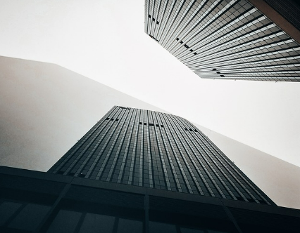 모바일 신분증 앱 설치 바로가기 