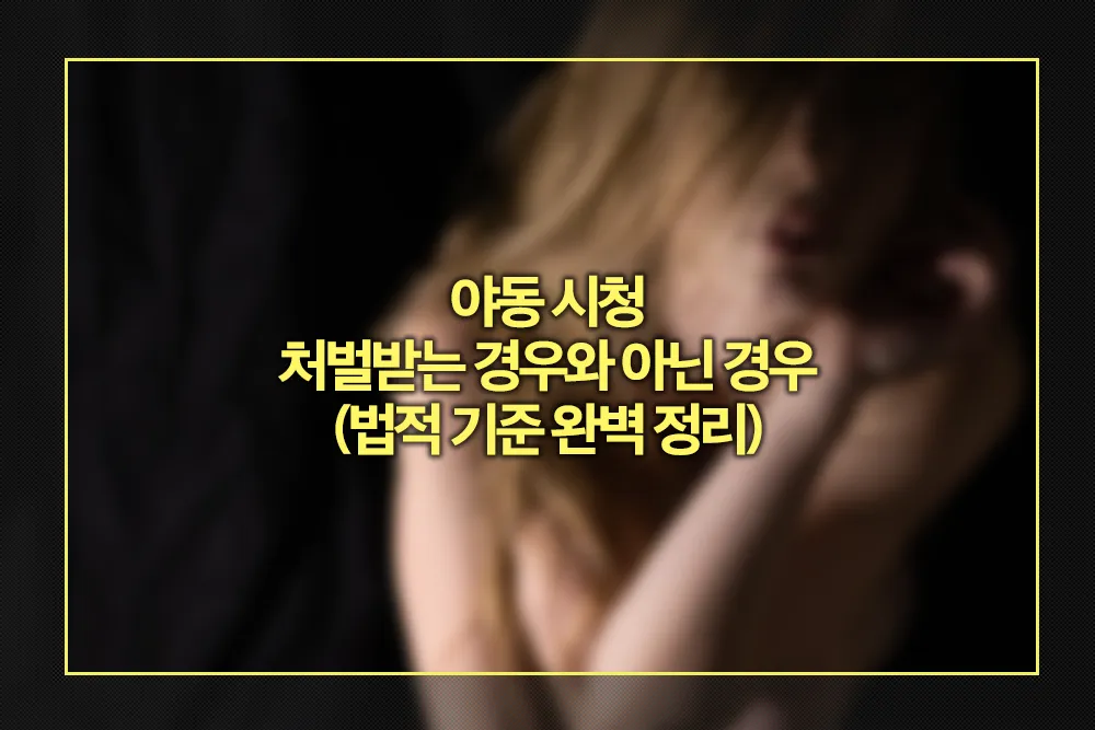 야동 시청 처벌받는 경우와 아닌 경우 법적 기준