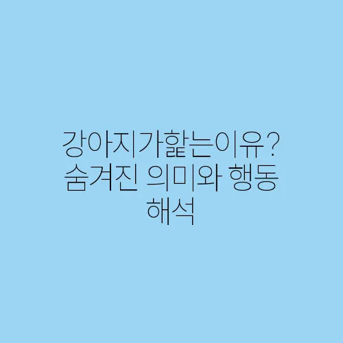 강아지가핥는이유? 숨겨진 의미와 행동 해석