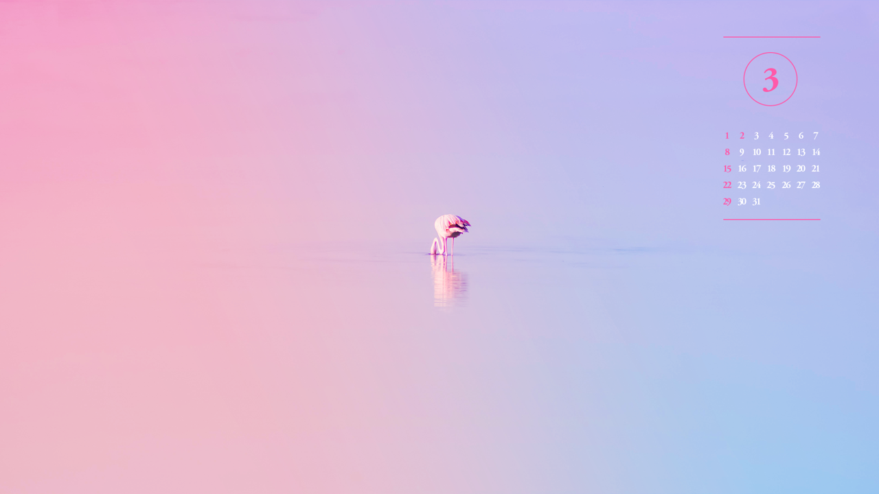 02 물 속에 머리를 넣고 있는 플라밍고 A - 2026년3월 달력배경화면