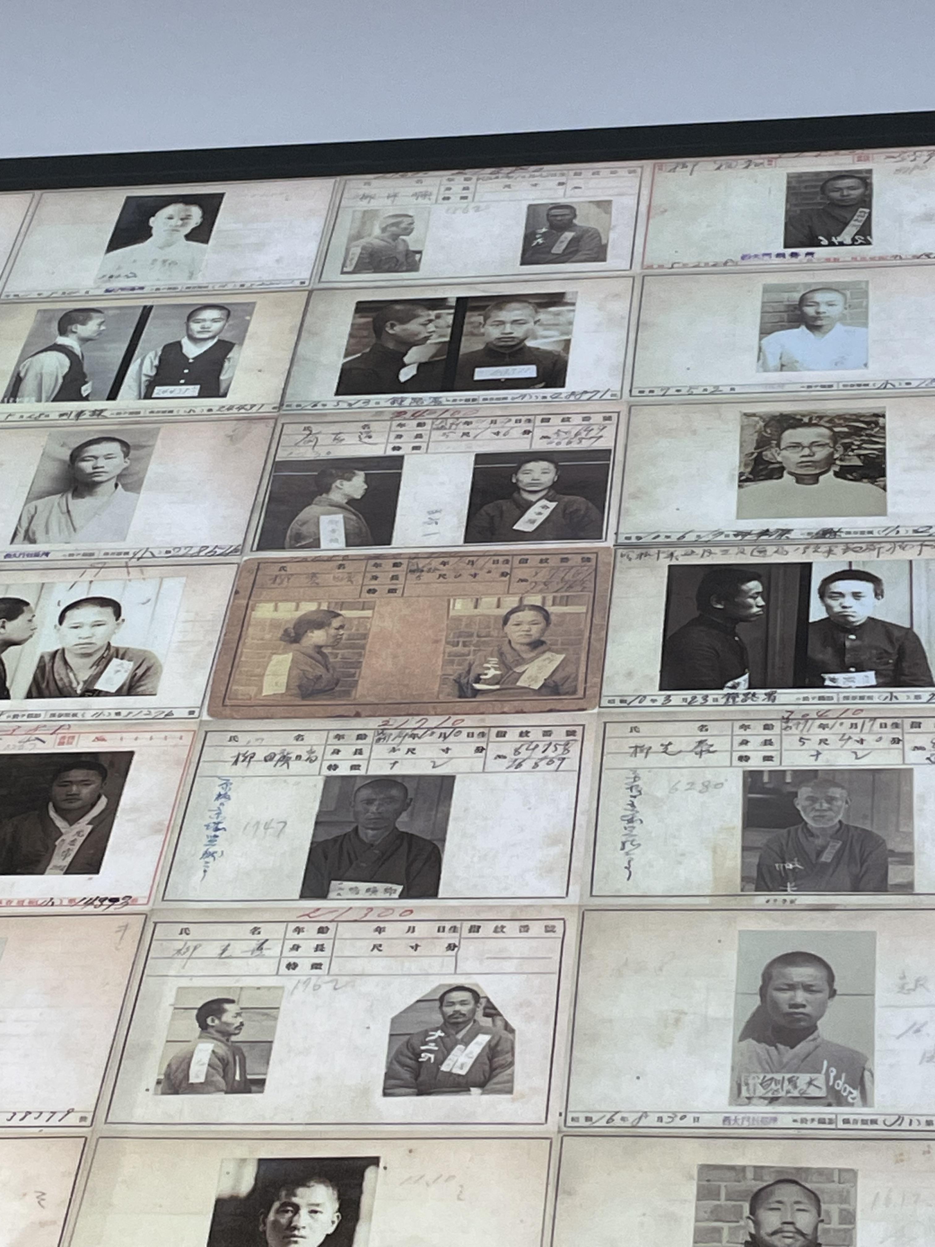 주변과 다른 색으로 되어있는 유관순 열사 수형표