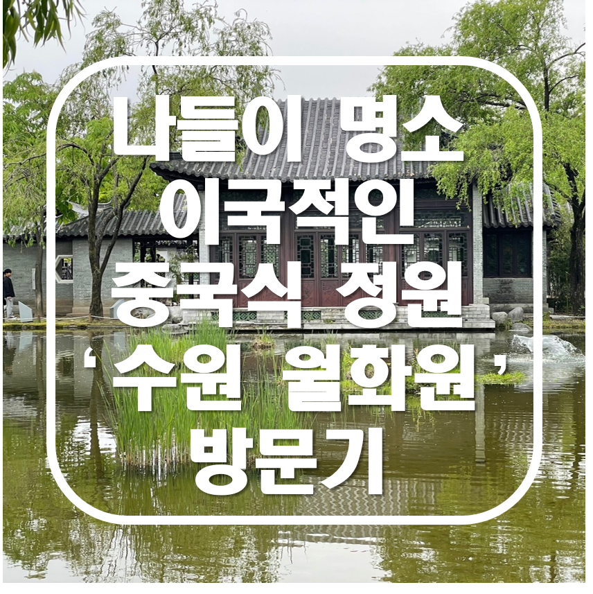 아기랑 가볼만한 수원 효원공원 월화원