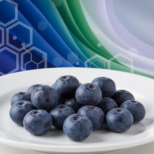 면역력 강화에 탁월한 하스카프베리의 힘