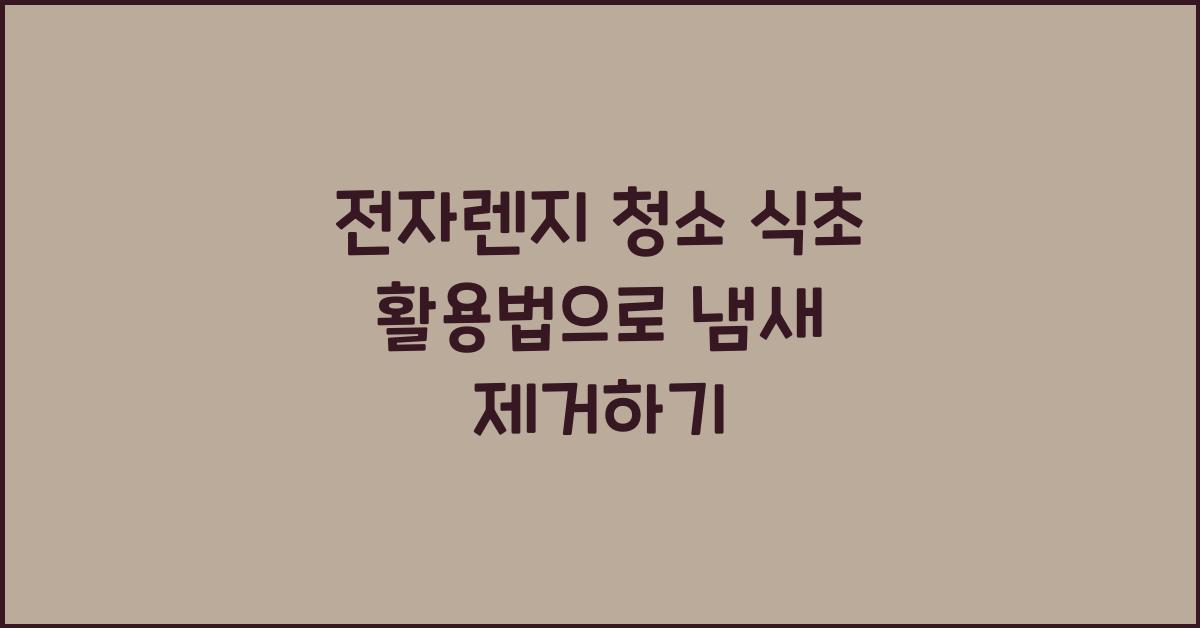 전자렌지 청소