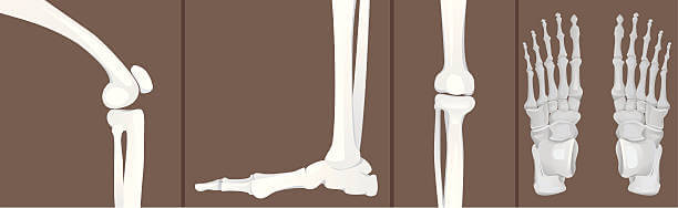 호박잎 효능과 성분, 칼로리를 확인해 보세요! 나이가 들어가니 호박잎을 쌈처럼 먹는 게 맛있더라고요! 다른 반찬이 필요 없는 호박잎에는 어떤 효능이 있는지 볼까요~ 맛있게 먹고 건강해져요!