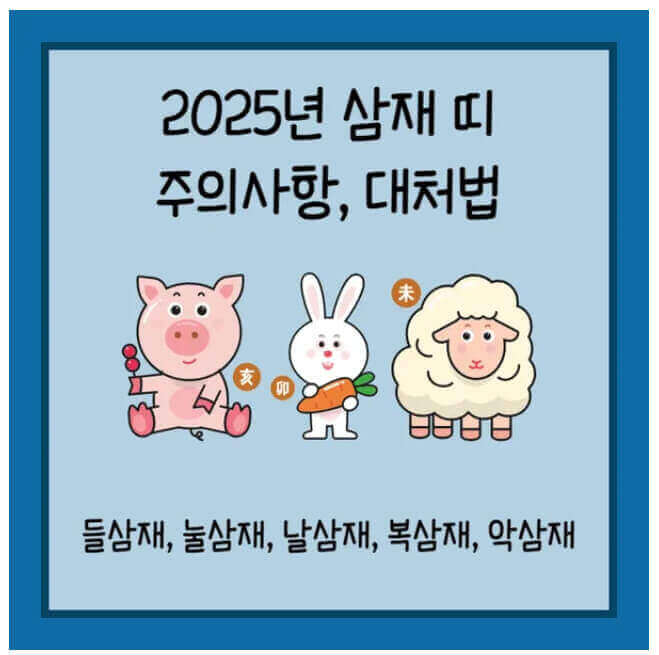 2025년 삼재띠, 불운을 극복하는 방법과 주의사항