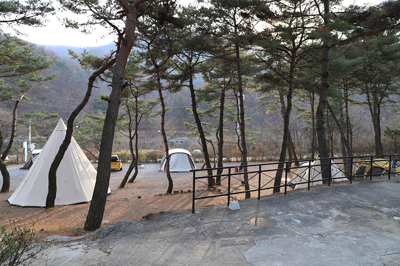 춘천 황금박쥐캠핑장 소개