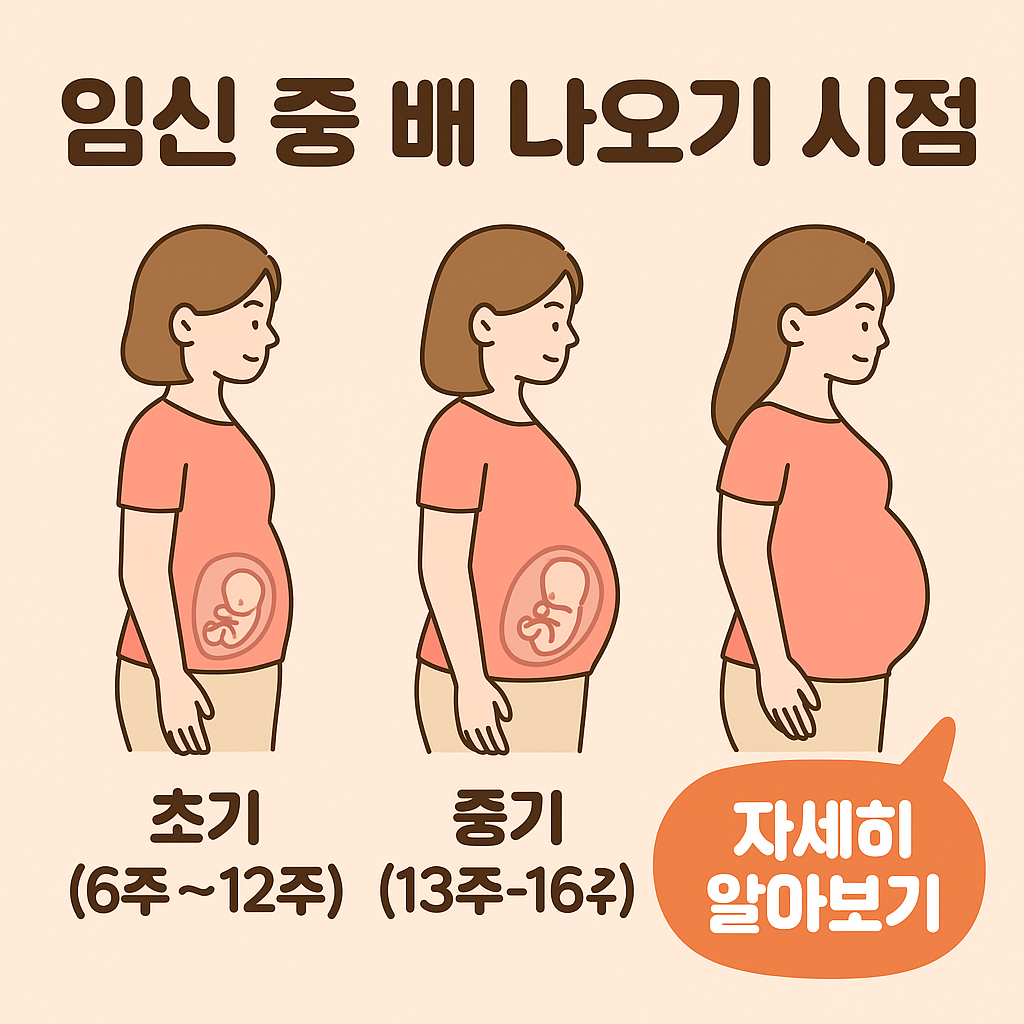 임신 중 배가 나오는 시기와 생활 변화
