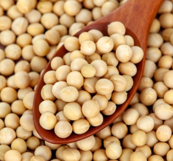 한국의 떡 종류 배피떡-콩