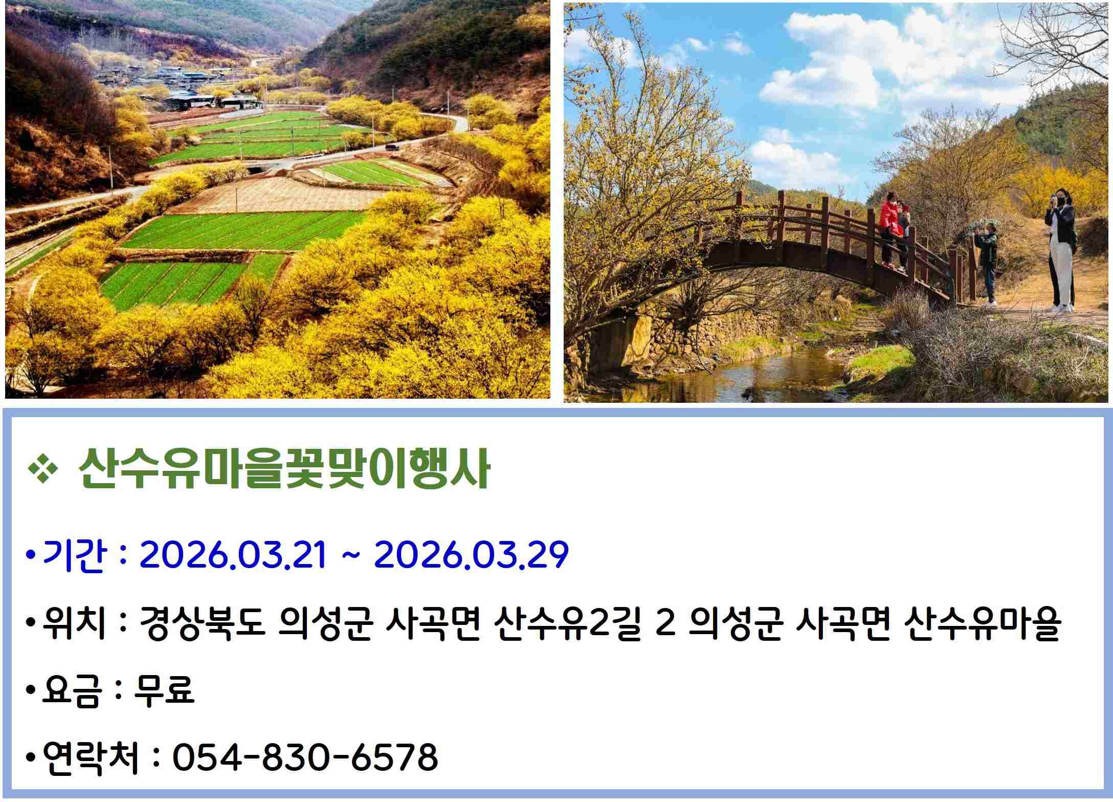 산수유마을꽃맞이행사