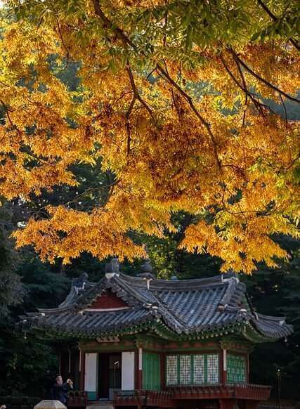 단풍절정시기&amp;#44; 명소