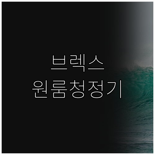 원룸 공기청정기 추천 브렉스 vs 맨..
