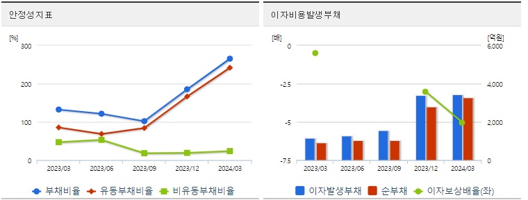 금양 분기 주가 안정성