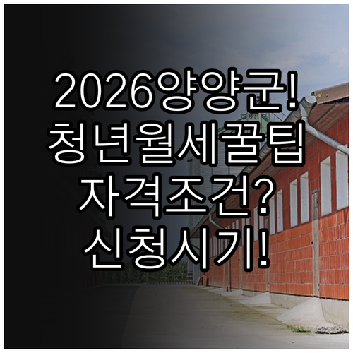 2026 양양군 청년월세지원 자격 조..