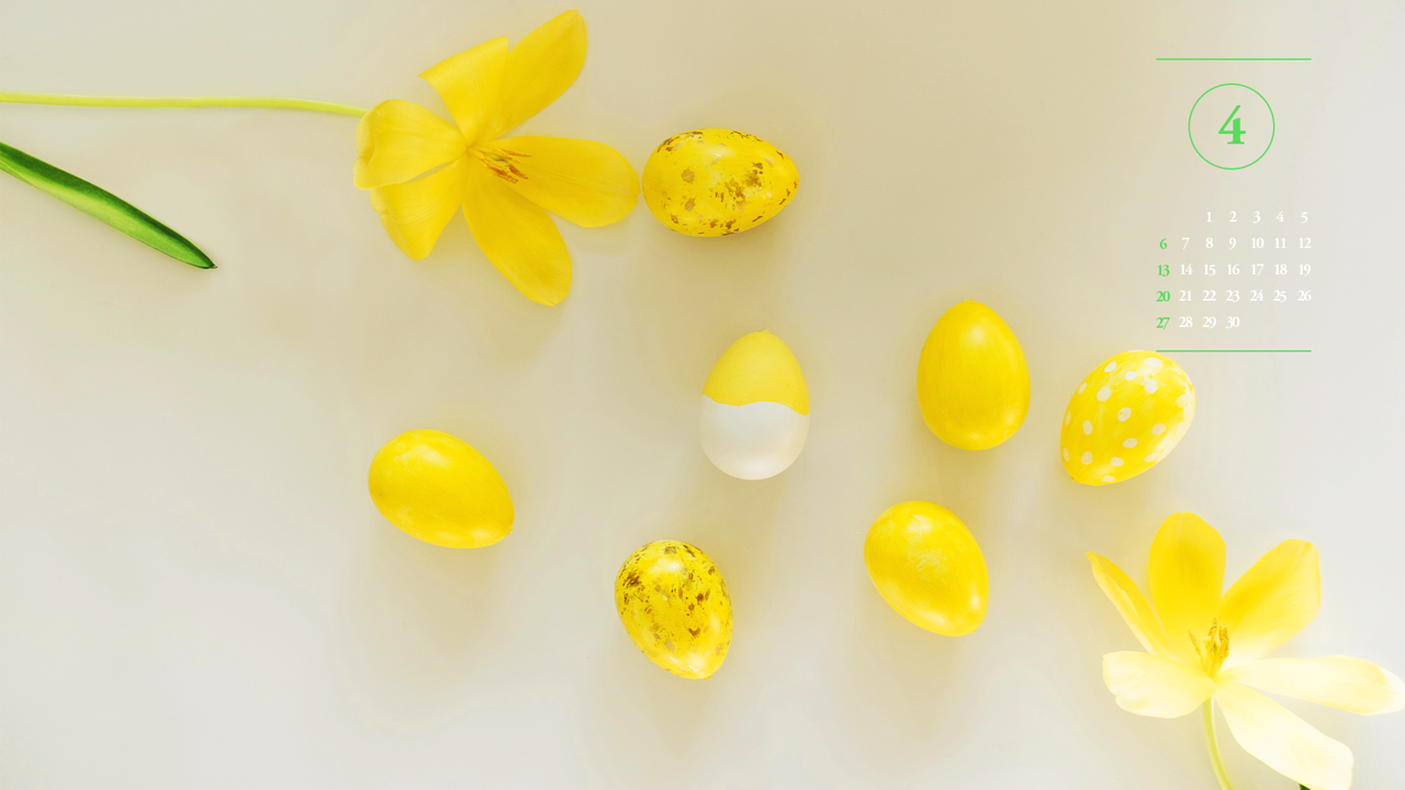 09 노란색 꽃과 계란 A - 2025년4월 노트북배경화면
