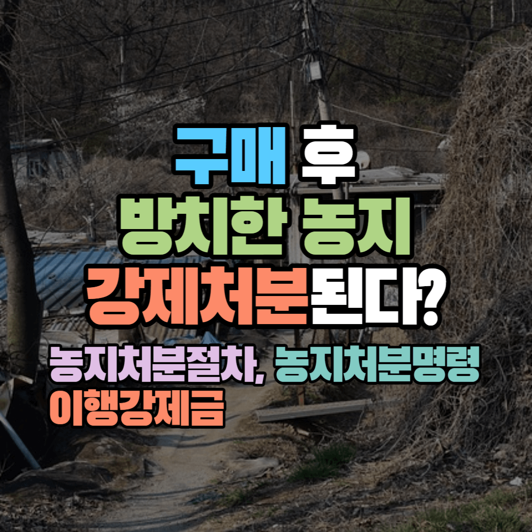 구매 후 방치한 농지, 강제처분된다?: 처분절차 및 처분명령 유예