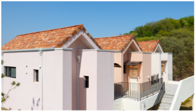 용인 자작나무숲